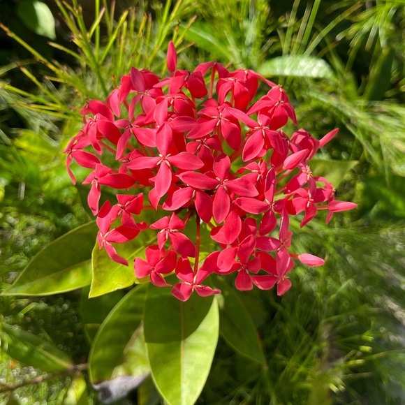 Meet your Posher, Marketa - Picture 1 of 1